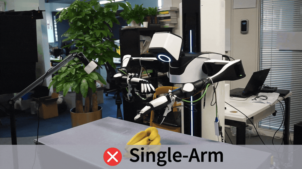 Break Banana Single Arm